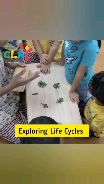 Introducing the concept of life cycles to a toddler can have several benefits, including:
▪️Enhancing their understanding of the natural world: By learning about life cycles, toddlers can better understand how different animals, plants, and insects grow and develop, and how they are connected to each other in the natural world.
▪️Developing their vocabulary and language skills: Learning new words and concepts associated with life cycles can help toddlers expand their vocabulary and improve their language skills.
▪️Encouraging curiosity and scientific thinking: Learning about life cycles can help toddlers develop a sense of wonder and curiosity about the world around them, and encourage them to ask questions and think critically about how things work.
▪️Fostering empathy and care for living things: By learning about the life cycles of different creatures, toddlers can develop a greater appreciation for the complexity and beauty of life, and a sense of responsibility for caring for the living things around them.
Overall, introducing life cycles to a toddler can be a fun and engaging way to encourage their natural curiosity and help them develop important skills and knowledge.

#claymontessori #lifecycles #toddlersofinstagram #toddlers #montessori #science #mumbai #Matunga #Wadala #sion #parel #Dadar #earlychildhoodeducation #earlylearning #earlyeducation #mumbaimomblogger #mumbaimoms #mumbaimominfluencer #toddlerlife