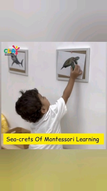 🌟 Our tiny explorer takes on the challenge of matching 3D sea creatures with their 2D counterparts, showcasing the essence of independent learning. 

At Clay Montessori, we nurture curiosity, independence, and a lifelong love for exploration.

Discover the magic of hands-on learning with us, and let your child's journey of discovery begin. 🐚🌊
#claymontessori #cognitivedevelopment #cognitivelearning #montessori #montessorienvironment #mumbai #Preschools #Matunga #sion #dadar #Wadala #moms #dads #toddlers